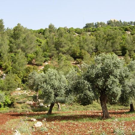 Ajloun Hotel Екстер'єр фото