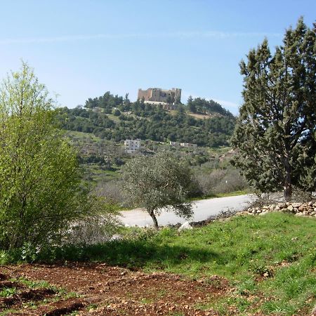 Ajloun Hotel Екстер'єр фото