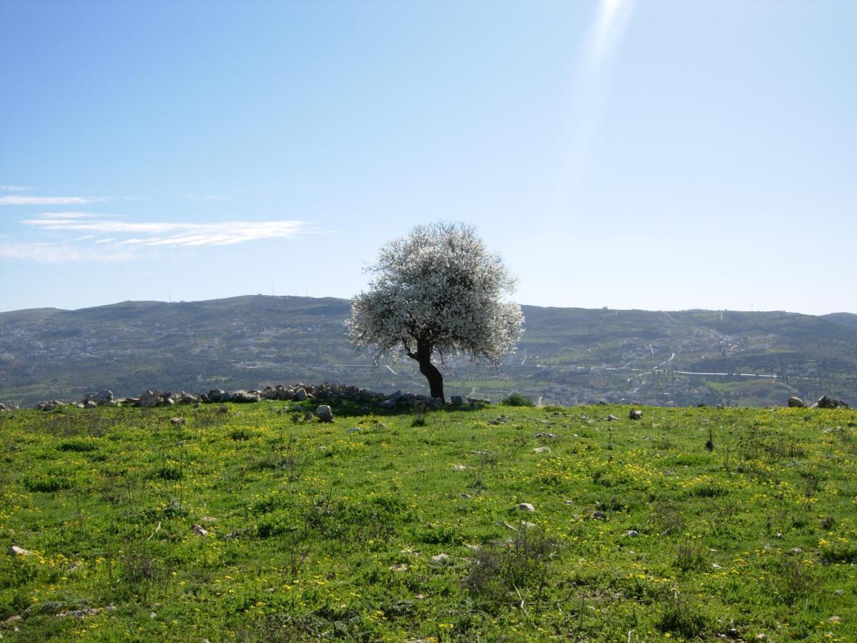 Ajloun Hotel Екстер'єр фото