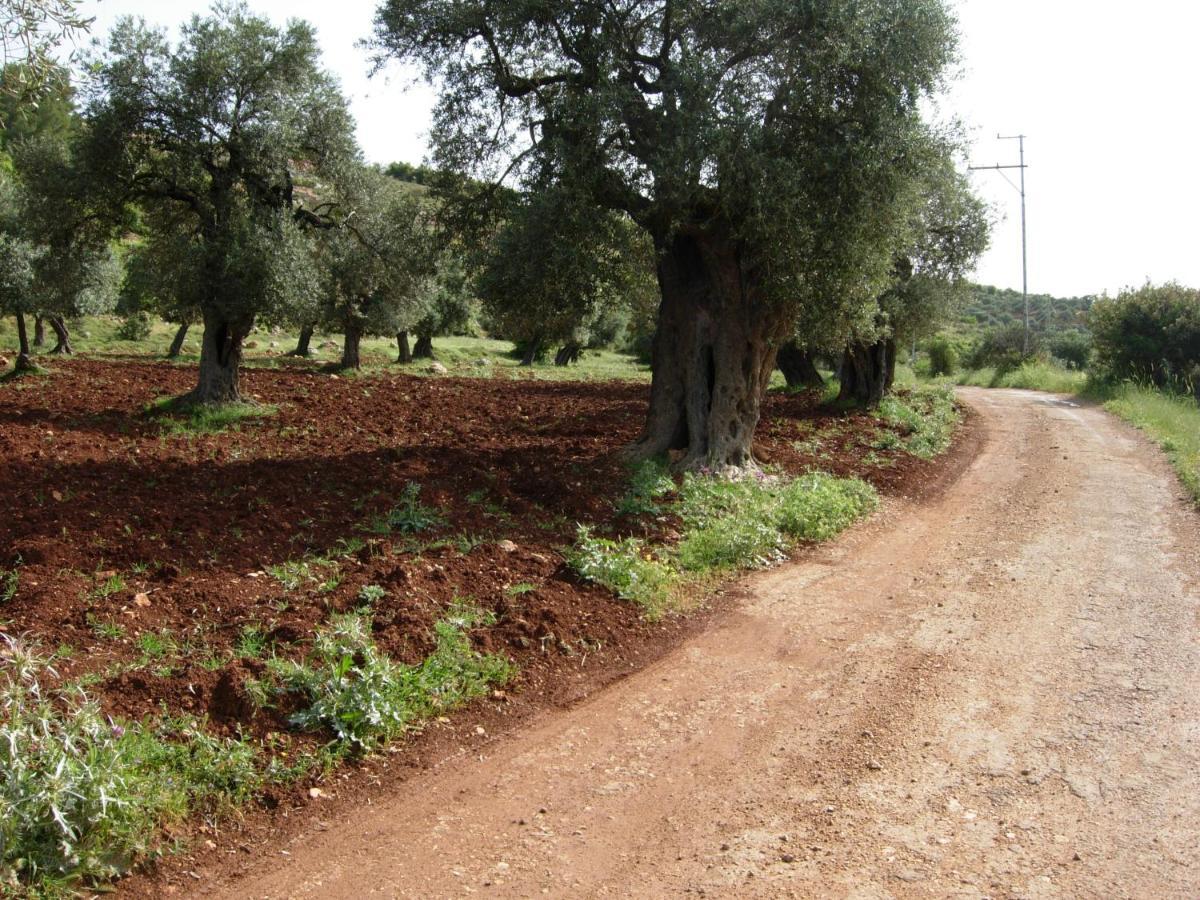 Ajloun Hotel Екстер'єр фото
